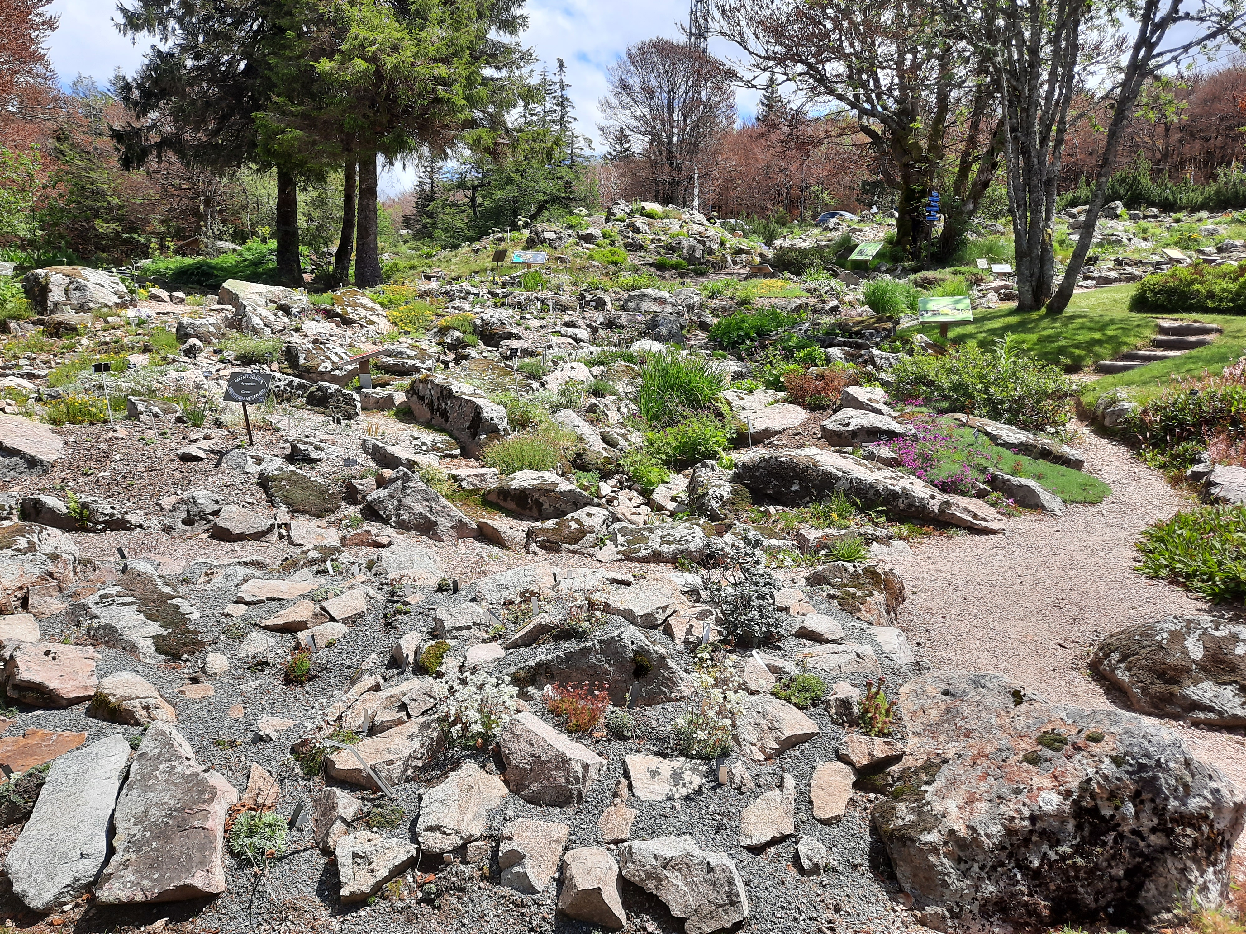 Photo n° 7 de l'avis de Victoria.e fait le 22/06/2020 à 21:37