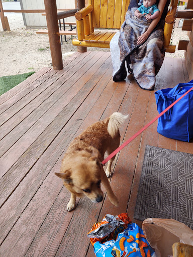 Campground «Estes Park KOA», reviews and photos