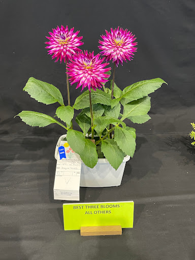 Youth Center «Union County Family YMCA», reviews and photos, 1150 Charles Ln, Marysville, OH 43040, USA