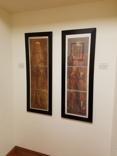 The Mütter Museum at The College of Physicians of Philadelphia