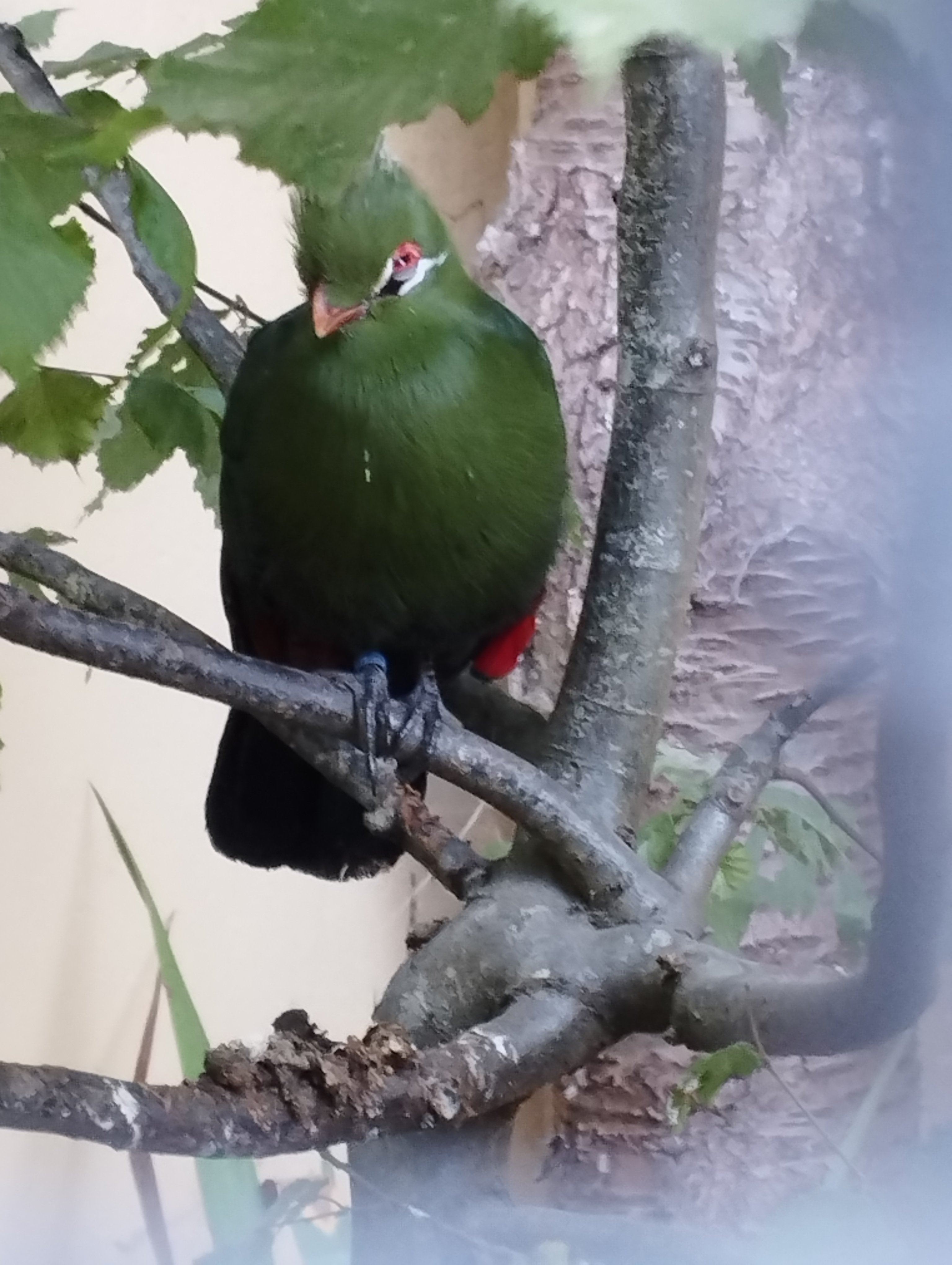 Photo n° 4 de l'avis de Christine.e fait le 10/08/2022 à 21:47