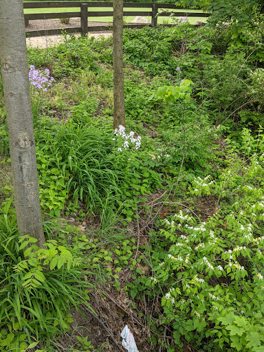 Community Center «Garfield Park Nature Center», reviews and photos, 11350 Broadway Ave, Garfield Heights, OH 44125, USA
