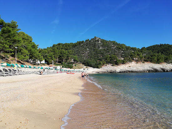 Pugnochiuso Plajı