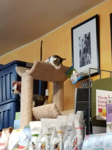 Pet Supply Store «Park Pet Supply Inc», reviews and photos, 479 Flat Shoals Ave SE # A, Atlanta, GA 30316, USA