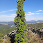 Photo n°2 de l'avis de Mandy.e fait le 11/10/2023 à 16:38 sur le  BERGGAST - Bergwirtschaft Papststein à Gohrisch