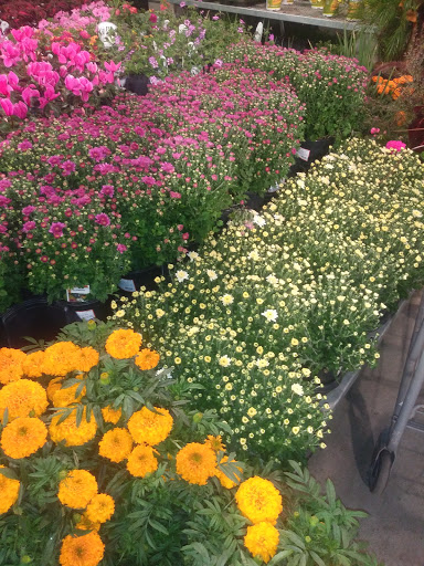 Home Improvement Store «The Home Depot», reviews and photos, 2001 Chess Dr, San Mateo, CA 94404, USA