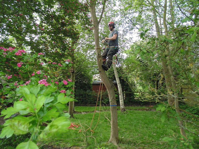 Nene Valley Tree Services - Landscaper