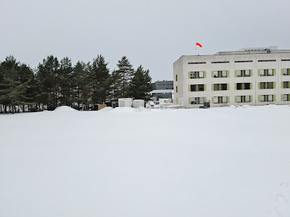 Helipad Hospital