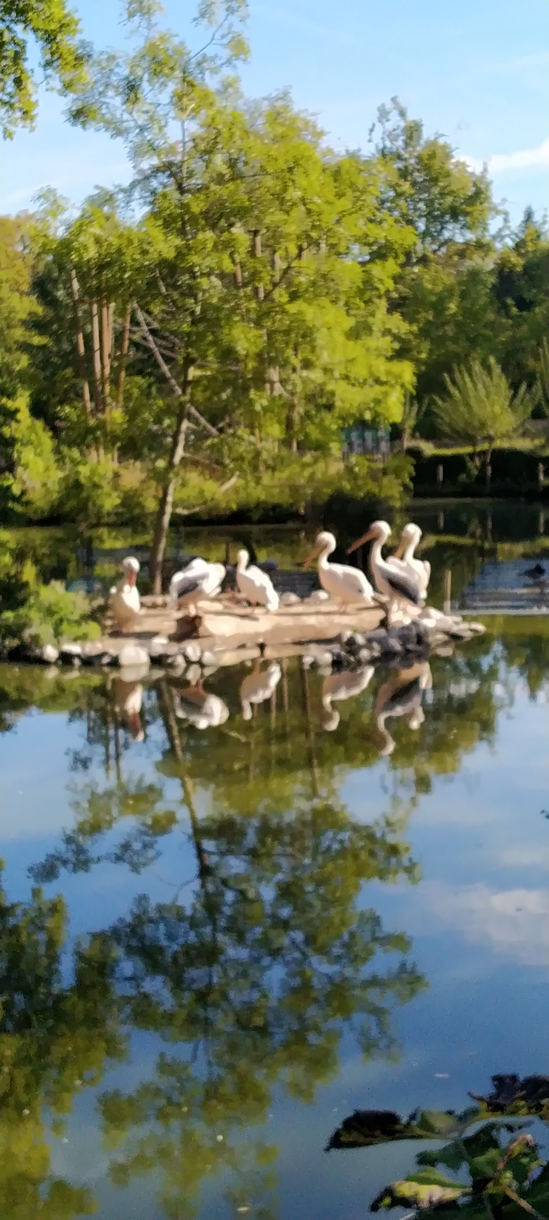 Photo n° 14 de l'avis de Bernard.e fait le 12/09/2022 à 09:16