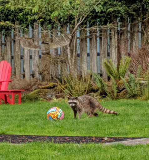 Tourist Attraction «Tillicum Village», reviews and photos, Blake Island, Port Orchard, WA 98366, USA