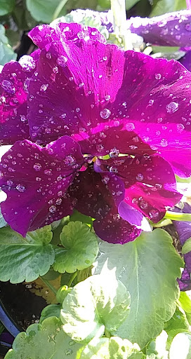 Home Improvement Store «The Home Depot», reviews and photos, 6921 Walton Ln, Gloucester Courthouse, VA 23061, USA