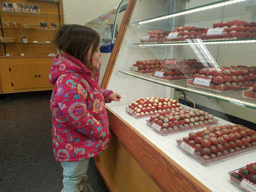 Hardware Store «Harbor Freight Tools», reviews and photos, 50 Springer Dr, Bangor, ME 04401, USA