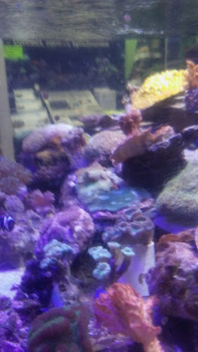 Pet Supply Store «House of Pets Inc», reviews and photos, 29500 Ford Rd, Garden City, MI 48135, USA