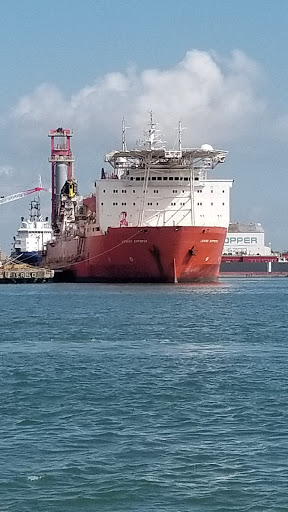 Museum «Texas Seaport Museum», reviews and photos, 2100 Harborside Dr, Galveston, TX 77550, USA