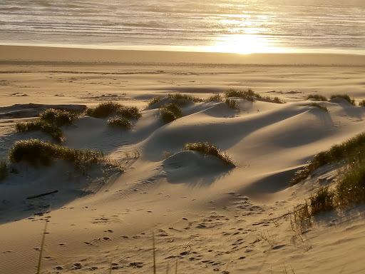 Title Company «WFG National Title - Clackamas», reviews and photos