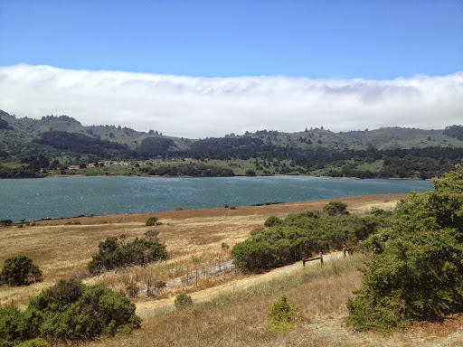 Nature Preserve «Crystal Springs Preserve», reviews and photos, 1609 Crystal Springs Rd, Crystal Springs, FL 33524, USA
