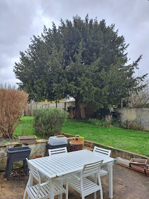 Elagueur Kevin : Paysagiste 89 Yonne à Charmoy