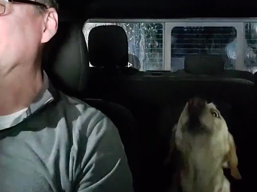 Car Wash «SpeedyBee Express Wash», reviews and photos, 3005 Justin Rd, Flower Mound, TX 75028, USA