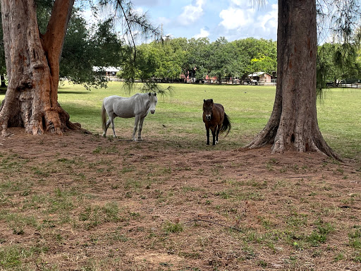 Park «Amelia Earhart Park», reviews and photos, 401 E 65th St, Hialeah, FL 33013, USA