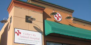 Cedar City Animal Hospital