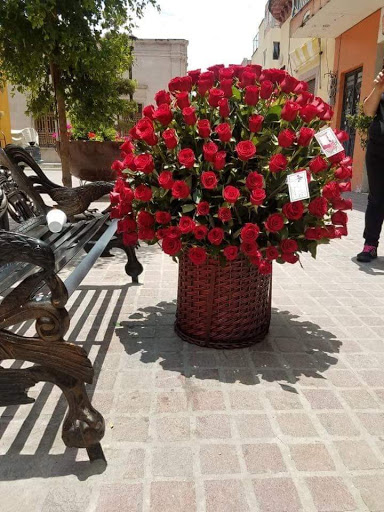 RIBA FLORAL BOUTIQUE – Degollado