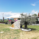 Photo n°7 de l'avis de Cristiano.O fait le 26/05/2020 à 23:02 sur le  Agriturismo Wine&Beer Alturis à Cividale del Friuli