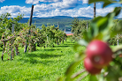 Domaine Sainte-Famille - Vignoble / Cidrerie / Verger Sainte-Famille