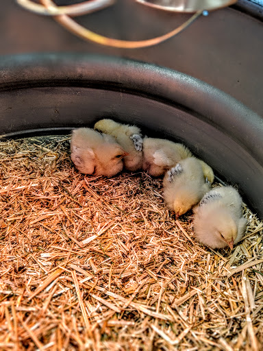 Pet Supply Store «Pet Food Plus», reviews and photos, 2819 E Hamilton Ave, Eau Claire, WI 54701, USA