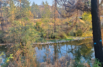 Harumi DeRosia - Japanese Realtor, John L. Scott Real Estate Salem Oregon - Photo 6 - Car repair in Salem, OR, Salem