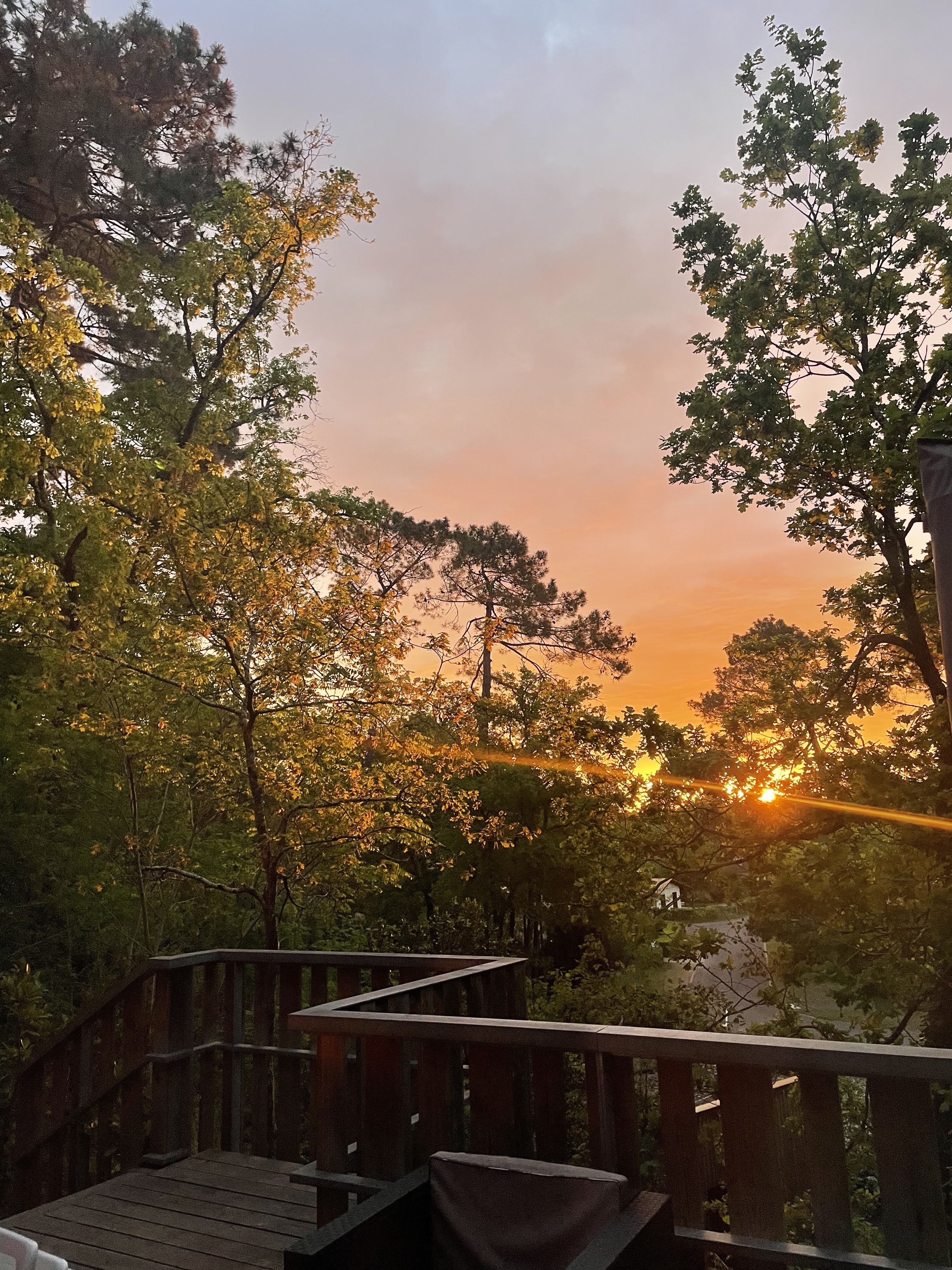 Photo n° 1 de l'avis de gladys.i fait le 01/05/2022 à 10:55