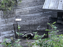 Panhandle Critter Gitter, LLC - Photo 7 - Car repair in , Coeur d'Alene