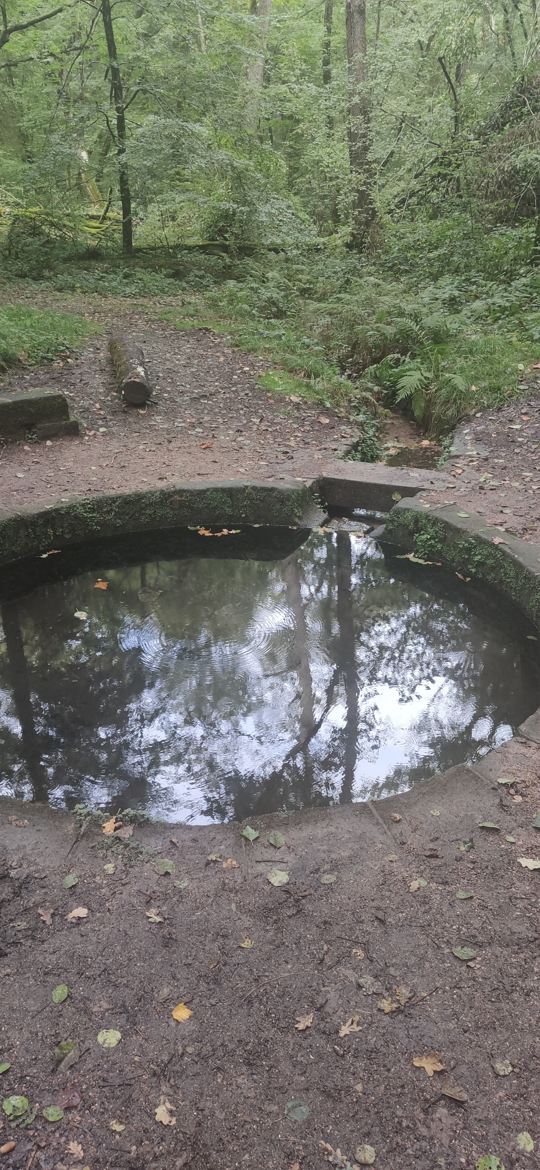 Photo n° 3 de l'avis de Mi.i fait le 02/10/2022 à 16:46