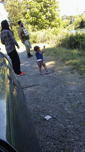 Park «Duwamish Hill Preserve», reviews and photos, 3800 S 115th St, Tukwila, WA 98168, USA