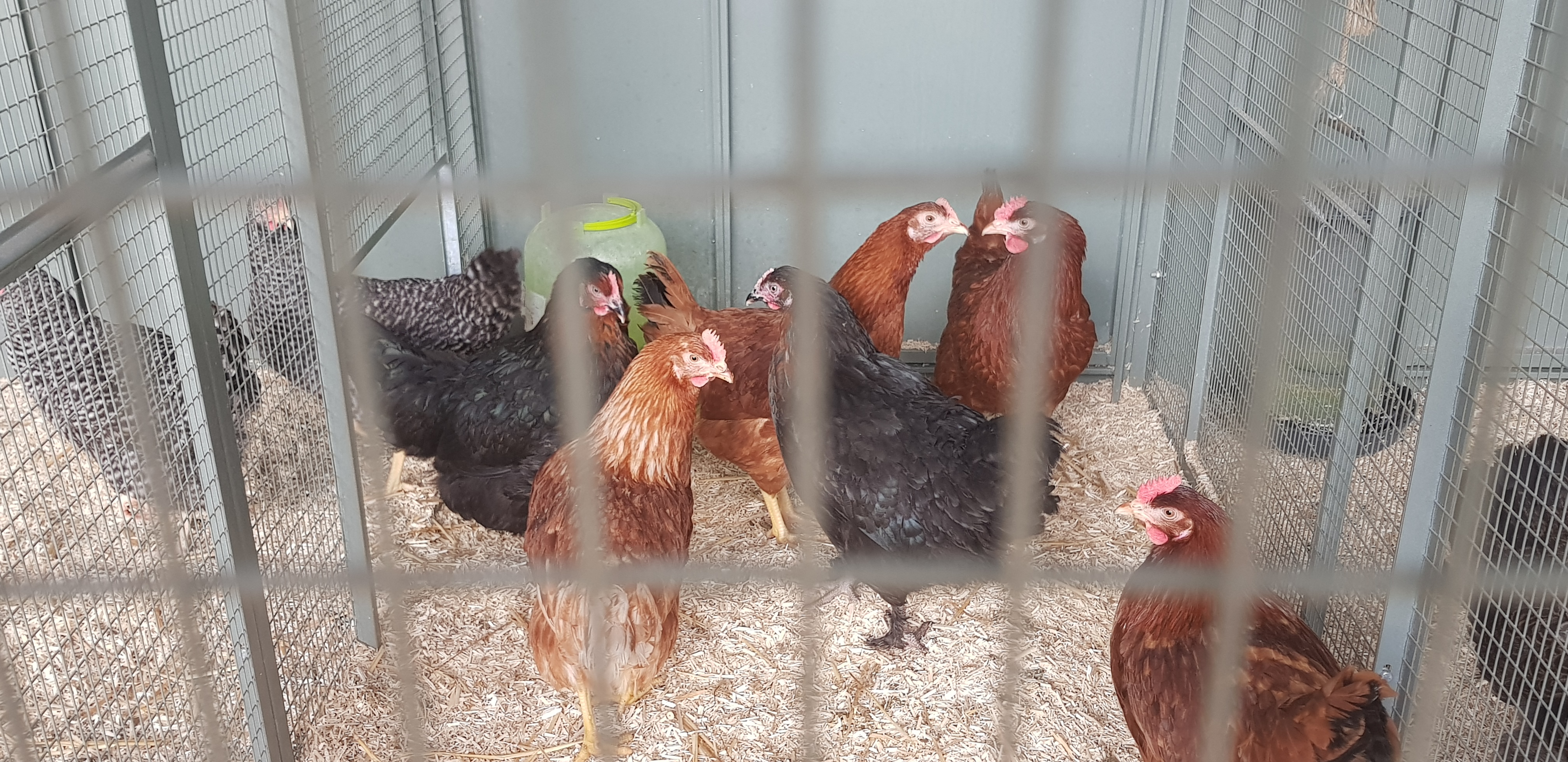 Photo n° 4 de l'avis de CEDRIC. fait le 01/07/2019 à 10:15