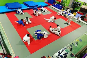 Sakura Judo Perugia image