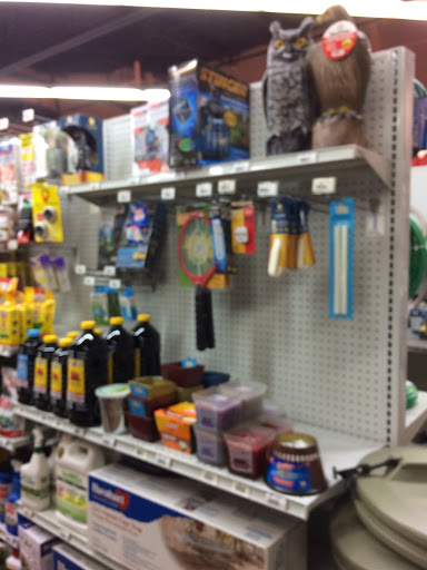 Hardware Store «Ace Home and Supply Center», reviews and photos, 7848 W Irlo Bronson Memorial Hwy, Kissimmee, FL 34747, USA