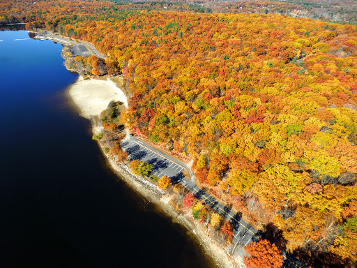 State Park «Hopkinton State Park», reviews and photos, 164 Cedar St, Hopkinton, MA 01748, USA