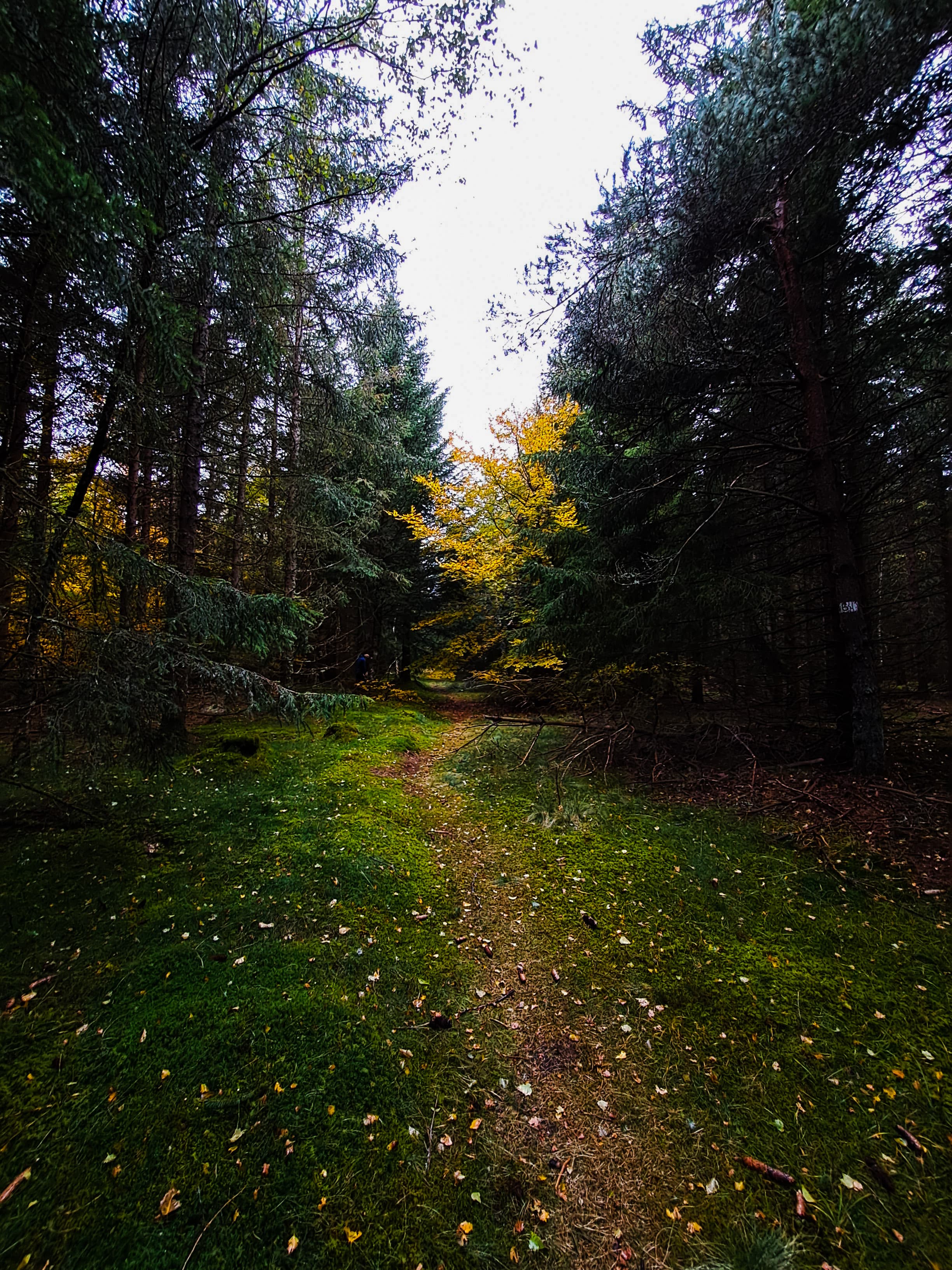 Photo n° 6 de l'avis de pacôme.a fait le 10/11/2023 à 19:50