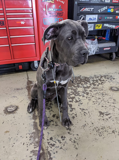 Auto Repair Shop «Hotchkiss Auto Repair», reviews and photos, 6918 E Colfax Ave, Denver, CO 80220, USA