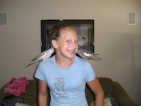 Rose's TLC Pet Care - Photo 5 - Car repair in , San Jose