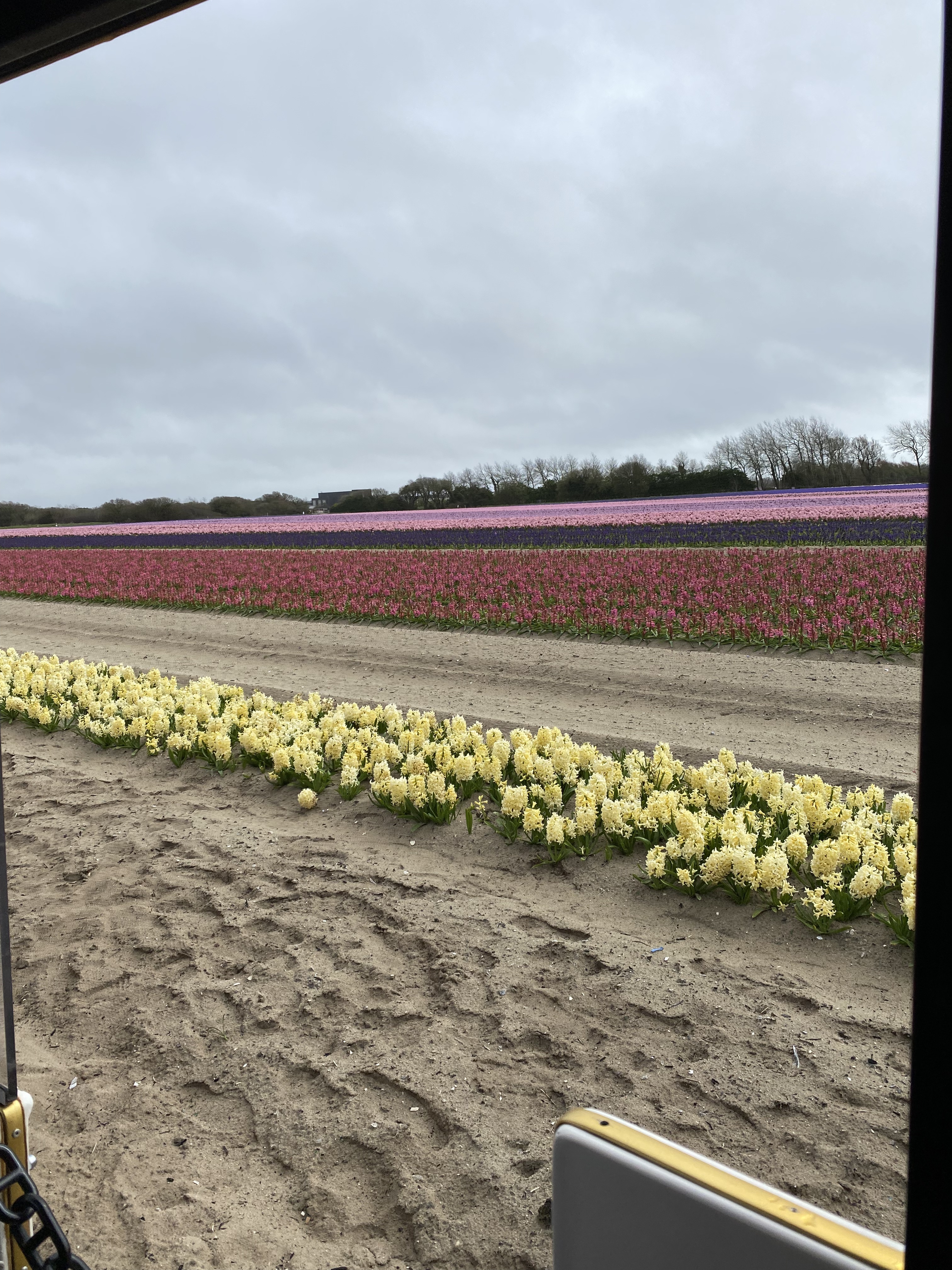 Photo n° 5 de l'avis de Alex.u fait le 22/03/2023 à 17:36