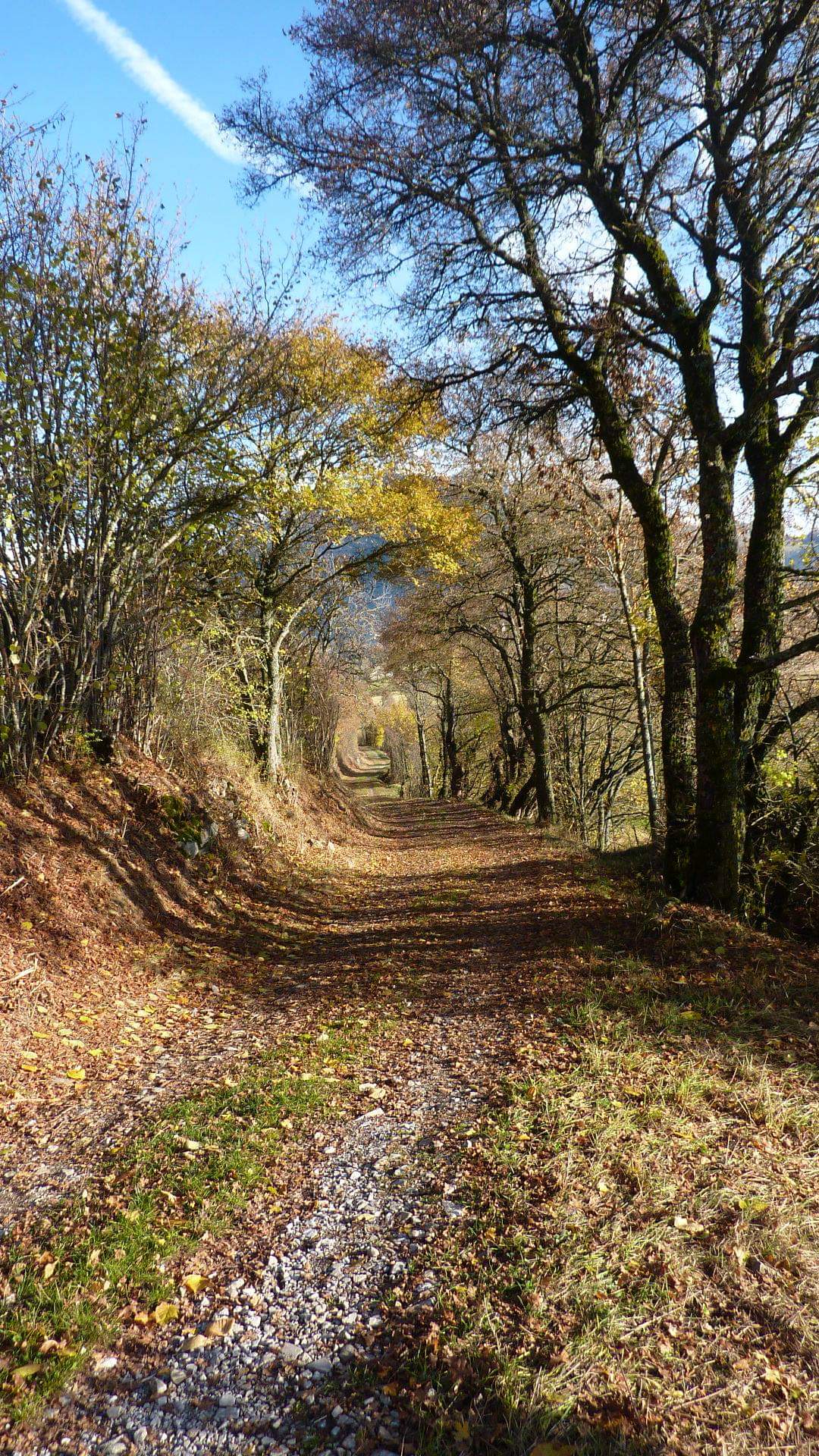 Photo n° 2 de l'avis de Josette.r fait le 06/11/2018 à 09:56
