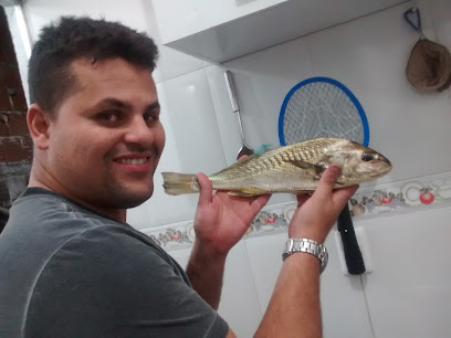 Canil de Cães da Raça Pastor Cidade Deus Rio Janeiro RJ