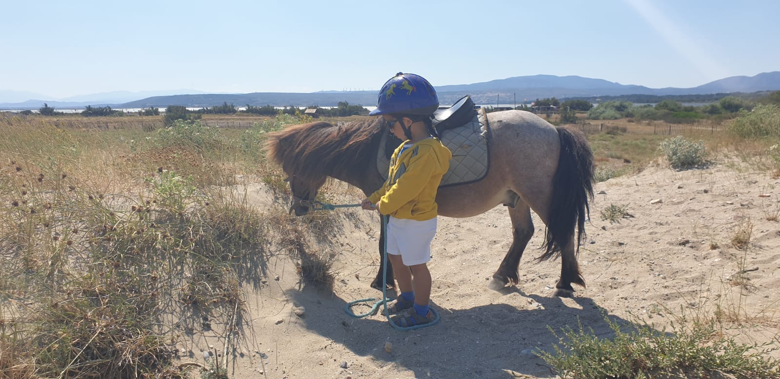 Photo n° 2 de l'avis de Faraj.a fait le 15/07/2019 à 15:14