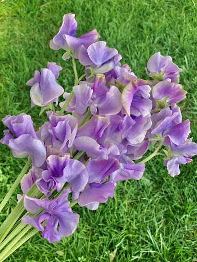 Florist «Sweet Pea Florist», reviews and photos, 5918 Naples Plaza, Long Beach, CA 90803, USA