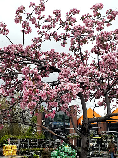 Home Improvement Store «The Home Depot», reviews and photos, 1155 High St, Wadsworth, OH 44281, USA