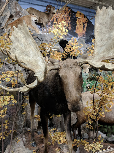 Outdoor Sports Store «Field & Stream», reviews and photos, 870 Walt Whitman Rd Ste B, Melville, NY 11747, USA