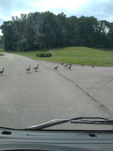 Country Club «Avalon Golf & Country Club», reviews and photos, 1299 Oak Chase Blvd, Lenoir City, TN 37772, USA