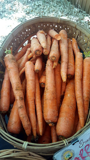 Farm «Sweetwater Organic Community Farm», reviews and photos, 6942 W Comanche Ave, Tampa, FL 33634, USA