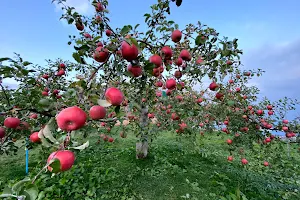 Hirosaki Apple Park image